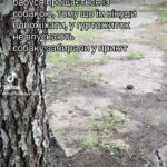 Olga Sumskaya Instagram - Евакуація з Вовчанська …Рве серце на шматки😭…Уклін вам,наші військові ,дорогі волонтери за спасіння людей і тварин…Божого захисту вам,рідненькі!🙏🏻🙏🏻🙏🏻