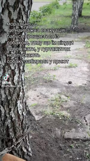 Olga Sumskaya Instagram - Евакуація з Вовчанська …Рве серце на шматки😭…Уклін вам,наші військові ,дорогі волонтери за спасіння людей і тварин…Божого захисту вам,рідненькі!🙏🏻🙏🏻🙏🏻