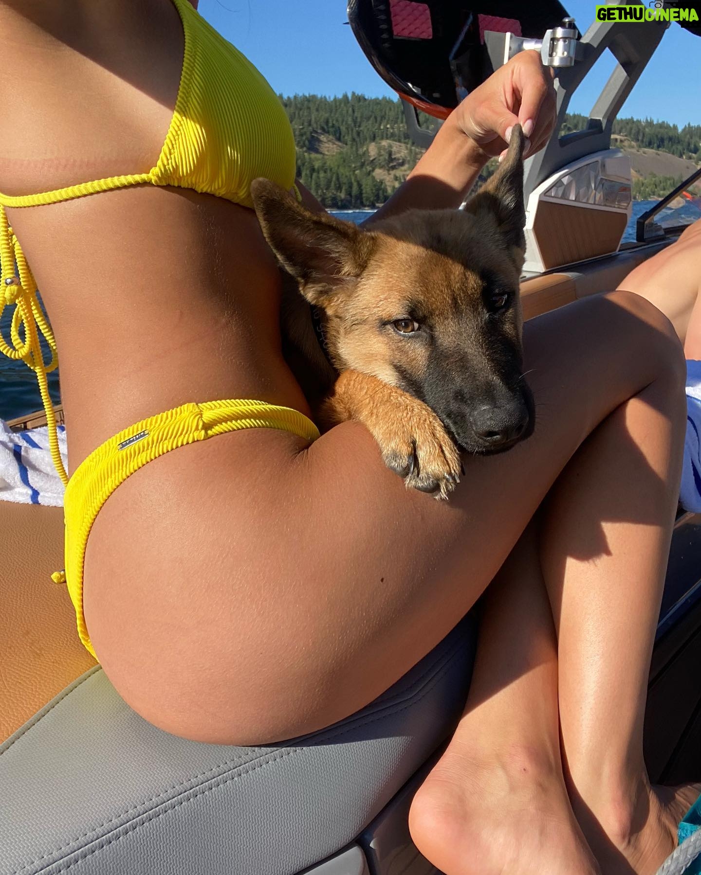 Olivia Giannulli - 3 Likes - 3 on 3/3 2023!! golden bday for the most special thing on planet earth. i love my dog more than most (all) humans i’ve met. he’s the best biggest baby and brings so much love and joy to my life. 🎂💙🎂