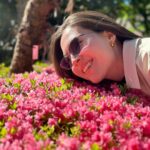 Olivia Jensen Instagram – Beds Of Flowers Blooming in Spring 🌸🌸🌸🌸🌸🌸🌸🌸🌸🌸🌸🌸🌸🌸🌸🌸🌸

#italytravel #OJTravels #italytraveldiary