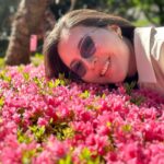 Olivia Jensen Instagram – Beds Of Flowers Blooming in Spring 🌸🌸🌸🌸🌸🌸🌸🌸🌸🌸🌸🌸🌸🌸🌸🌸🌸

#italytravel #OJTravels #italytraveldiary