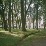 Olivia Rouyre Instagram - belgium on film.