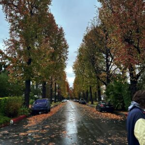 Olivia Rouyre Instagram - end of december ... new cookbook, yummy breakfasts, warm weather 🤸, traveling home !! full moon and lovely streets n richie hiding in plain sight 🪄

@alo
