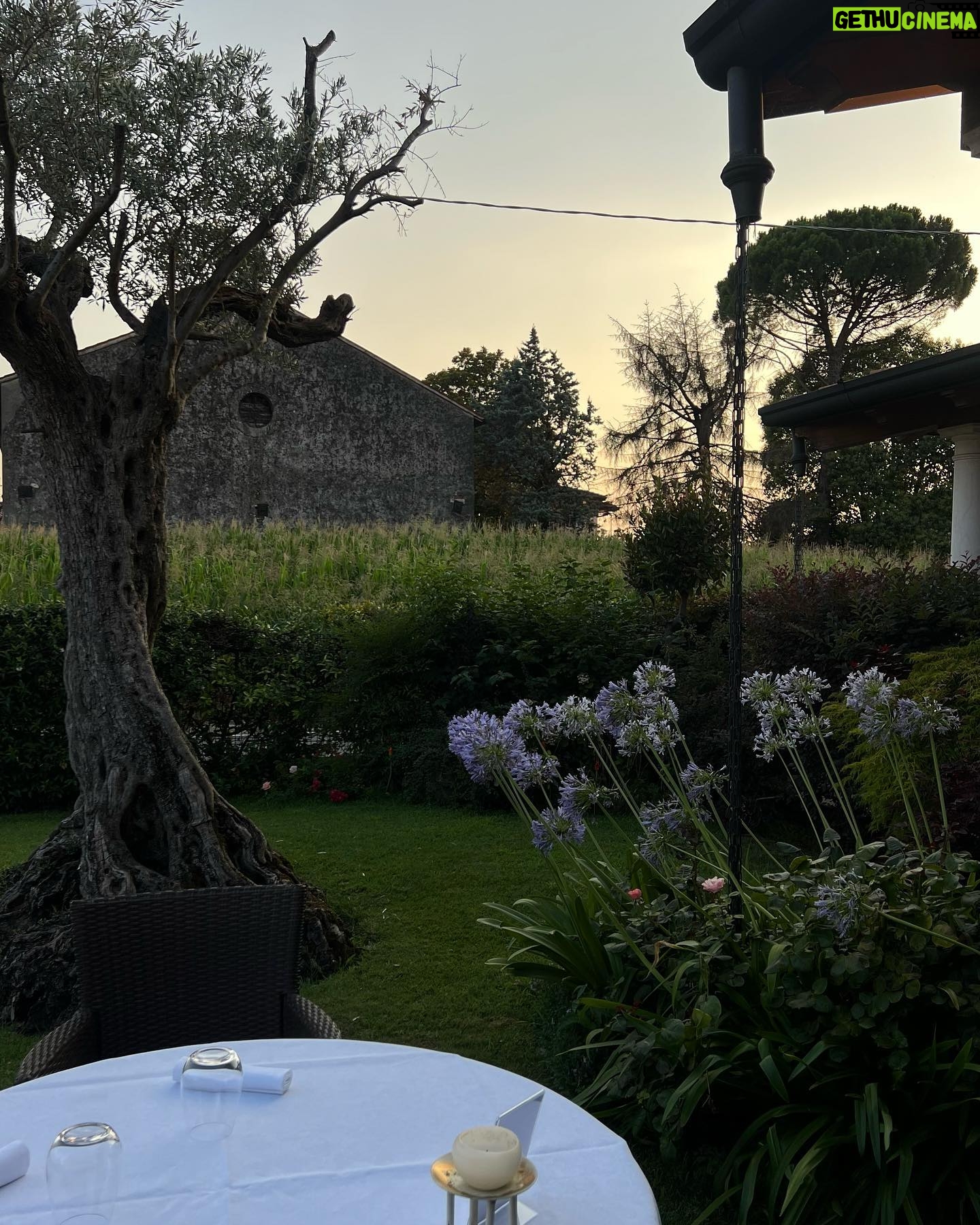 Oriana Marzoli Instagram - Vi ho ascoltato e mi sono fatta le foto con i fiori che mi avete regalato π«Άπ»π»πβ¨