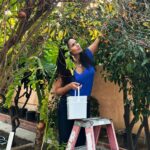 Padma Lakshmi Instagram - These beautiful kumquats, picked from my mother's yard, have always been a source of brightness. Especially now in this dreary New York weather. Soon they'll find their way into a bubbling, sticky marigold hued chutney with green chiles and ginger. If you've read my book Love, Loss and What We Ate, you'll remember that recipe – one of my personal "sort of mother sauces".