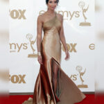 Padma Lakshmi Instagram - Choose your fighter! Emmys looks from over the years 💋