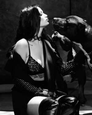 Saraya-Jade Bevis Instagram - Our sweet boys Lobster and Ozzy. Pitbulls the most misunderstood breed, so full of love always ❤️