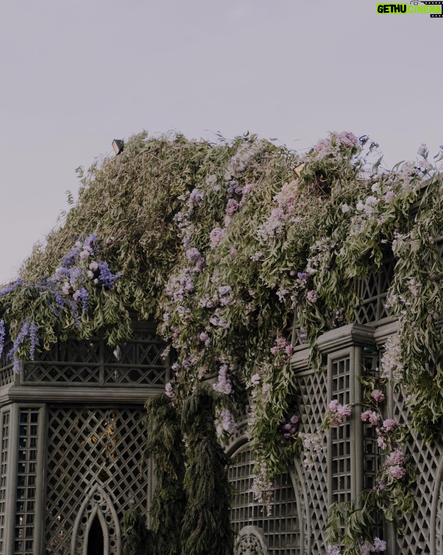 Pamela Bowie Instagram - My very own english garden πΈπ