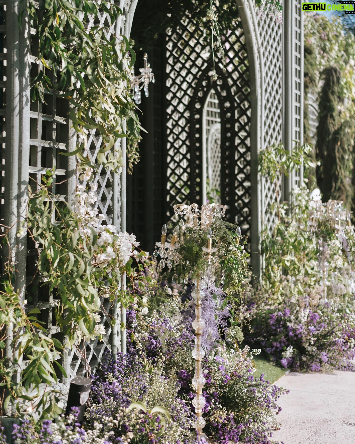 Pamela Bowie Instagram - My very own english garden πΈπ