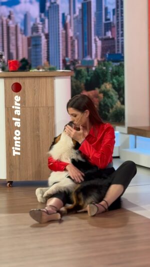 Pamela David Instagram - Cada uno labura como quiere y puede. 🐶 Tinto