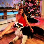 Pamela David Instagram - Esta foto que nos sacó @nannitaweber la tenía que compartir 😍😍😍 acá grabando la promo con el pompón de amor. @tintoendesayuno 🐾🐶Que tengan una hermosa Noche Buena y bendecida Navidad!!!🪅🎄🍾🎉💫 #feliznavidad #feliznochebuena