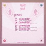 Pamela Leiva Instagram - Amoras mías estoy muy contenta porque ¡YA ESTÁN DISPONIBLES LAS NUEVAS FECHAS DEL SHOW SOLO PARA NOSOTRAS🔥🩷🔥! Vamos a visitar varios lugares de nuestro Chile querido y solo espero que podamos vivir un experiencia inolvidable ❤️‍🔥🫶🏼. ⚡️ Recuerden que pueden comprar a través de pamelaleiva.cl Quiero saber quienes ya compraron entradas y de donde son 🫢 Las leo 🤩