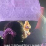 Pamela Leiva Instagram - A una semana de este hermoso momento🌸🩷 Fui una verdadera fan, cumplí mi sueño y no fue sola fue gracias a todas por su apoyo, las que estuvieron ahí gritando, quienes aplaudieron y me apoyaron❤️‍🔥❤️‍🔥🙏🏽🙏🏽. Gracias a todas quienes me etiquetaron en los videos, aún no lo puedo creer 🥹🥹. Los sueños si se cumpleeeenn 🌈☀️ 🌺🌸🩷 Gracias a mi ami!! @mixcosas por el cartel 🌸💖