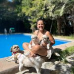 Pamela Leiva Instagram - Mis Sholes, mis guaguas… mi familia. La maternidad que elegí ♥️ 🐶 🐶🐶. . @lossholesshitzu . Oye el finde estuvimos con mi familia en @spalodge_melipilla los mejores!! ♥️