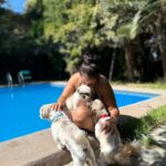 Pamela Leiva Instagram - Mis Sholes, mis guaguas… mi familia. La maternidad que elegí ♥️ 🐶 🐶🐶. . @lossholesshitzu . Oye el finde estuvimos con mi familia en @spalodge_melipilla los mejores!! ♥️