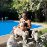Pamela Leiva Instagram - Mis Sholes, mis guaguas… mi familia. La maternidad que elegí ♥️ 🐶 🐶🐶. . @lossholesshitzu . Oye el finde estuvimos con mi familia en @spalodge_melipilla los mejores!! ♥️