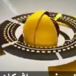 Pantea Bahram Instagram - مرزها، جنگ‌ها، سیاست ها هیچ یک جلوی انقراض ما را نخواهد گرفت اگر زودتر به خود نیاییم .... ! #رنسانس_کرونایی #محیط_زیست