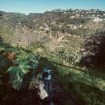 Paola Nuñez Instagram – The Canyon