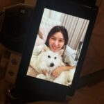 Parada Thitawachira Instagram - 🐶🤍🐈