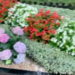 Parastoo Salehi Instagram - اوست نشسته در نظر من به کجا نظر کنم!؟ نهم مرداد بین ساعت نوزده تا بیست و سه ضربات چاقو نتوانست روح تو را به قتل برساند. تو ماندی و ماندگار شدی!!! حضرت عشقِ من، تو آن دوردست هارو می دیدی... یادت جاودانه ست در دل و جان دوستدارانت تا ابد و تو مرادی و من مریدت تا همیشه. در دشت های میهنم خوش آمدی، چو آمدی فریاد کردی این منم ، قاضی نیکی و بدی گفتی که آبی و هوا ، گفتی که خاکی و زمین بعد از شب و ناباوری ، رویای روزی و یقین گفتی فدای دوستی، دل می کنم ، جان می کنم گفتم که اینسان می روی ،گفتی که آنسان می کنم اما میان دشتِ خون دیدم هزاران زاغ را ، مرگ هزاران باغ را اکنون چو باغم در قفس ، اکنون چو دردم در نفس گفتی که دستت، دست ما ، گفتی که راهت، راه حق گفتی صدایت می برد، فریاد مارا تا شفق گفتی ز ریشه می کنم، بنیادهای بندگی سر می دهم آواز عشق، آواز عشق و زندگی گفتی زبان عشق را ، در عشق مردم دیده ای گفتی شکوه موج را ،در پرچمت پیچیده ای اما میان دشتِ خون دیدم هزاران زاغ را، مرگ هزاران باغ را اکنون چو باغم در قفس ، اکنون چو‌ دردم در نفس من گرگ بالان دیده ام من مرگ یاران دیده ام خاک وطن را ، زخمی از سم سواران دیده ام و تو که پیروز از منی ، دیروز و امروز از منی، خود گرگ کام آلوده ای کی دوستی، تو دشمنی فریدون فرخزاد اسفند ۱۳۵۸ #فریدون_فرخزاد #حضرت_عشق #پرستو_صالحی