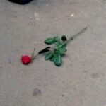 Parastoo Salehi Instagram - دروغ چرا امروز موقع بازپخش سریال هنگامه بعد از نوزده سال، گریه کردم خودمم یادم رفته بود قبلا چیکاره بودم اونهمه سال کار و زحمت انگار شده باد هوا ... هی از خودم پرسیدم کی مقصره؟ دیدم هیچکس، فقط خودم. زبان سرخ سر سبز می دهد بر باد !!! به خودم گفتم خب الان راضی هستی؟ چی درست شد!؟ گیریم که حرفاتم همیشه زدی، سکوتم نکردی، اوضاع فرقی کرد؟ مملکت آباد شد؟ یکی رفت یکی بدتر اومد و درد مردمم ذره ذره شد خروار ... عاقبت کله ای که باد داشت و همیشه بوی قرمه سبزی میداد، شد غربت. شایدم دارم خودمو گول میزنم که انتخاب خودمه و راضی ام. تهه همه ی این حرف ها دلم برای بازیگری تنگ شده برای دوربین، بوم صدا، آیینه گریم، چایی های راه به راه پشت صحنه و ... نزدیک شصت تا سریال و فیلم تلویزیونی و سینمایی بازی کردم که حتی خودمم خیلی هاشونو یادم نیست چه برسه به یاد مردم ... واقعا وقتی حال من کمترین امروز با دیدن یک کار قدیمیم اینه، حال فردین و ناصر ملک مطیعی و رضا بیک ایمانوردی و بهروز وثوقی و پوری بنایی و فروزان و بهمن مفید و وحدت و مرتضی عقیلی و ... حال اونا چجوری بوده وقتی تو اوج، درست تو نقطه ی اوج پرواز بال هاشونو قیچی کردن !؟ لعنت به این بغض 😭😭😭 میگن آه مظلوم میگیره چرا سیاستمداران ما روز به روز گردنشون کلفت تر میشه پس!؟ خیلی ها میگن تقاص تو این دنیاست خدایا میشه تقاص پس دادن باعث و بانی های همه اینارو من ببینم و بمیرم 🙏🏻🙏🏻🙏🏻🙏🏻🙏🏻 . . #پرستو_صالحی #پرستو_صالحی #بازیگر #سینما #تلویزیون #تئاتر #parastoo_salehi #parastoo_salehi