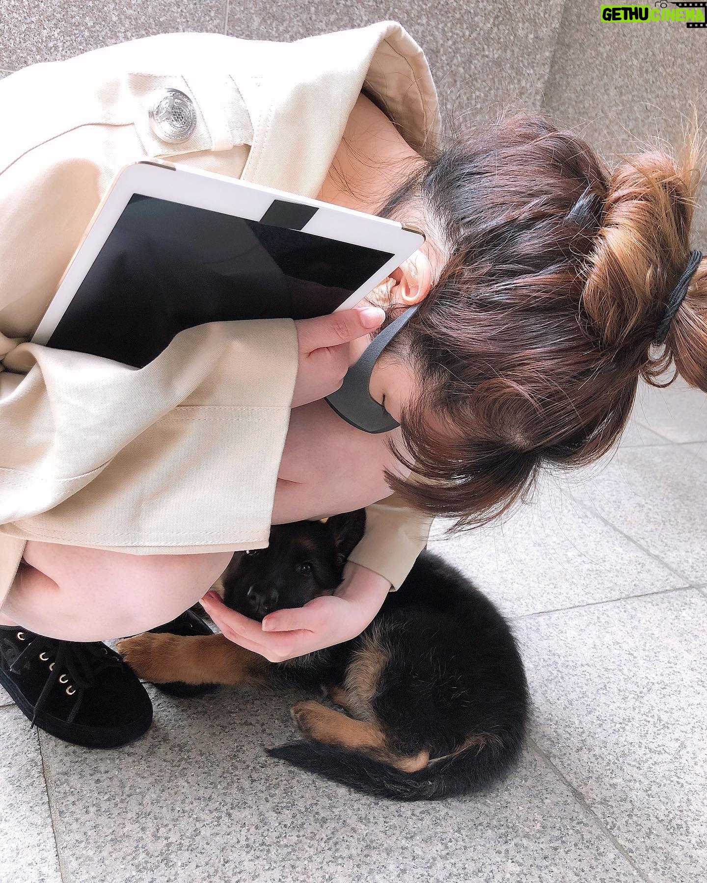 Park Bom Instagram - 샤샤랑 처음 만난날. #2ne1 #ParkBom #朴春 #박봄 #dnation #디네이션 #bompark #ぼム #بارك_بوم #봄쉘 #BOMSHELL