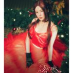 Park Cho-rong Instagram - To. Panda #WaitingforChristmas 🎄🎁🍷
