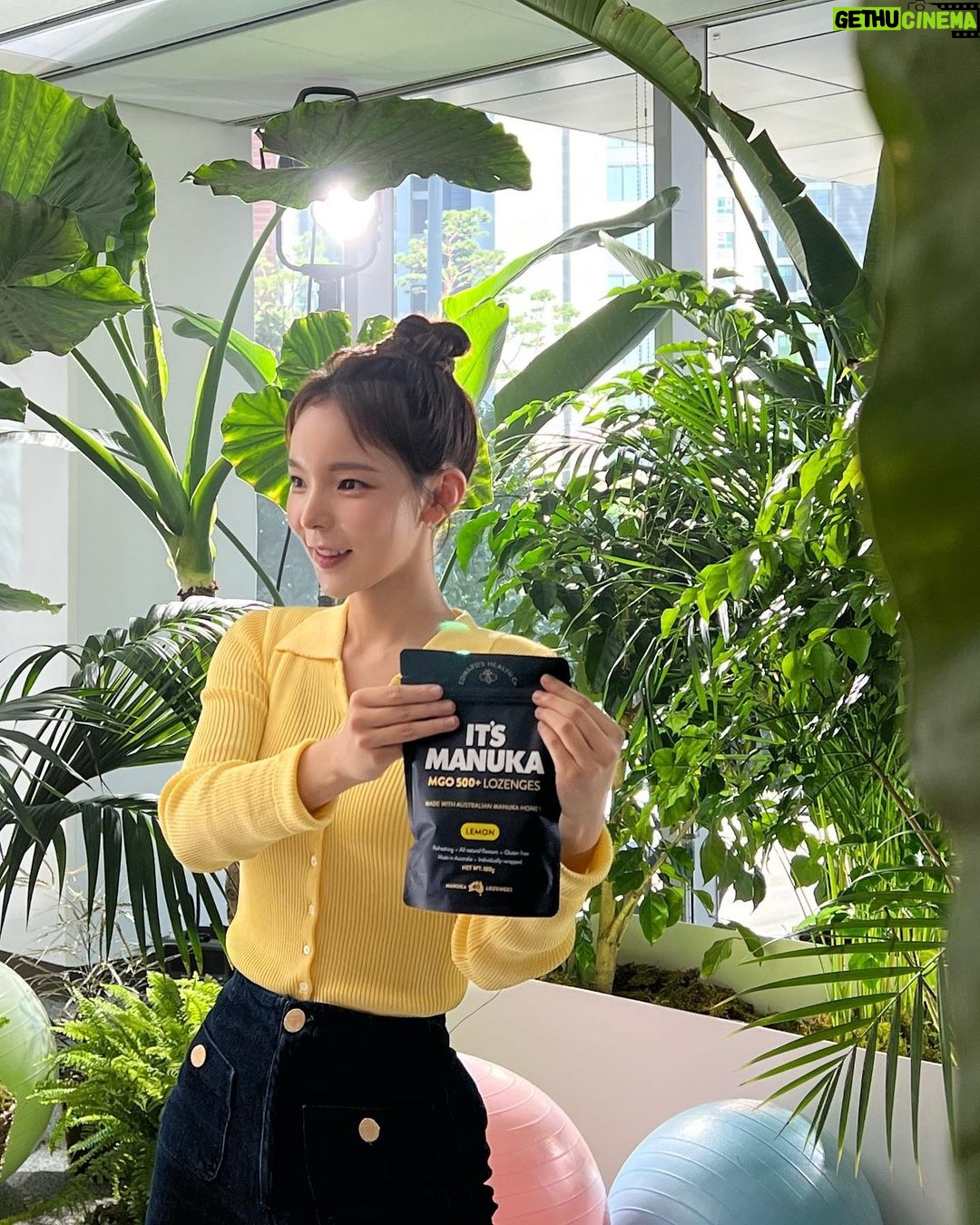 Park Jin-joo Instagram - #광고 @itsmanuka_kr 제가 아주 겅!!!강!!!하고 정말 맛!!있!!는!!!!! 프리미엄 캔!!!!!!!!디!!!!!!!!!!!!!!!!!!!!!!!!!!!!!🍬 잇츠 마누카의 모델이 되었어요!!(함성)💛 몸에 좋고 항균성이 뛰어난 마누카꿀 MGO500+ 등급이 들어있어 환절기에 더 좋은 잇츠 마누카 캔디!! 이제 우린 잇츠 마누카 캔디로 마누카꿀의 영양을 건강하고 간편하게 섭취할 수 있어요!! 야호!!!!!!!!!!!!!!!🧔🏻♀️🍯 고마워요 잇츠 마누카!!!! 🍋 #잇츠마누카 #MoreThanJustCandy #박진주캔디 #캔디박진주 #요가캔디 #건강한간식