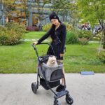 Park Ju-hyun Instagram - 복떵이랑 연휴 🐶