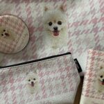 Park Ju-hyun Instagram - ⭐️생일⭐️ 저에게 생일은 더 좋은 사람이 되어야겠다 다짐하게 되는 날이예요. 케잌의 촛불도 버거워하는 언냐들이지만 ㅋㅋ 너무너무 소중해💕 축하해주신 분들 감사합니다🙏🏻 복쭈머니 최고 사랑해 ❤️