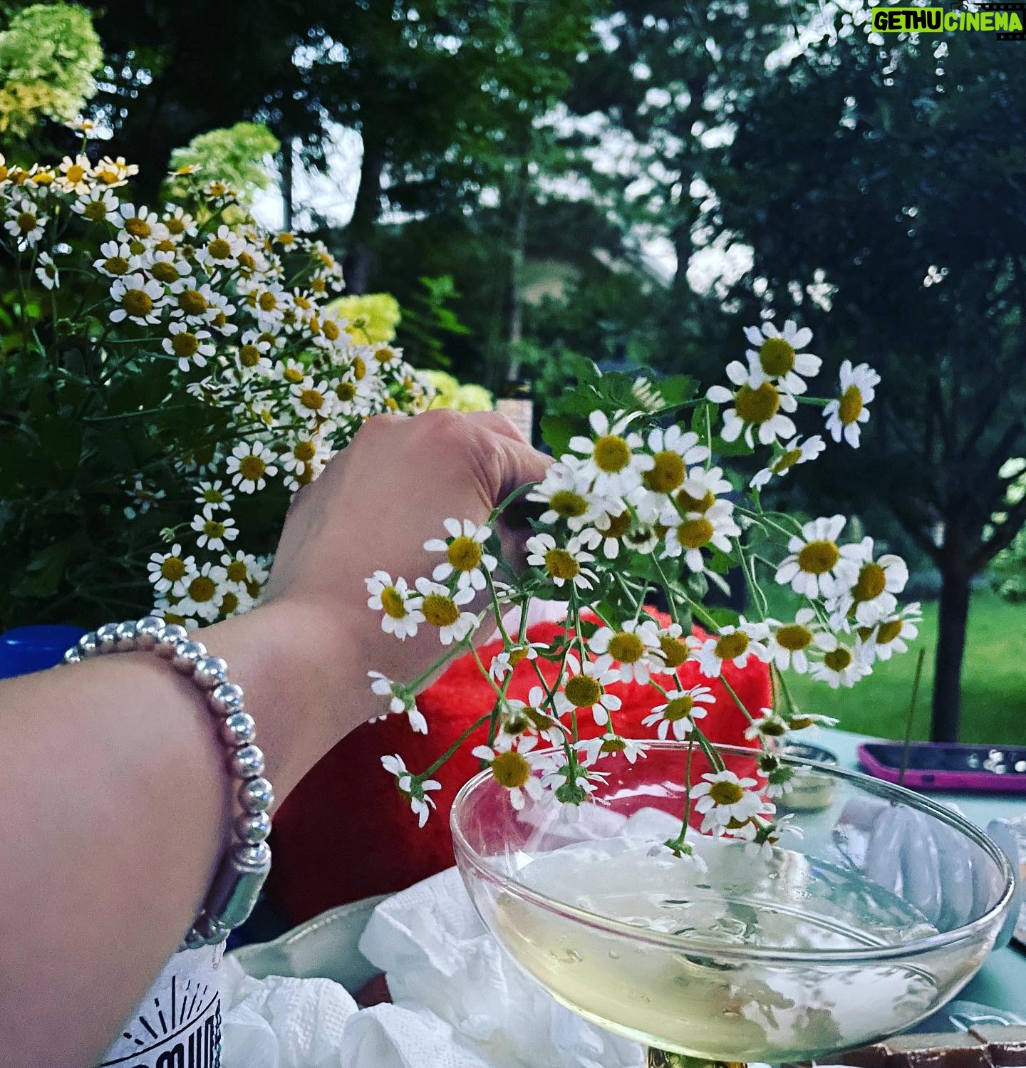 Park Na-rae Instagram - 갑자기 생각난 어느 멋진날…. 멋진사람들과💖💖 photo by @hyoonsu 손출연 @hyoonsu