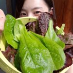 Park Soo-jin Instagram - 시저샐러드로 다시 태어나자 가자♡ #로메인#적로메인#청로메인#시져샐러드#쑤농장#풍성해진밭#뿌듯