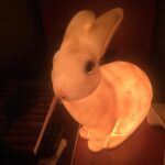 Park Soo-jin Instagram – ♡