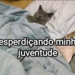 Patrícia dos Reis Instagram - bom demais ser uma velha xovem e em pleno sextou ficar em casa 😂😂