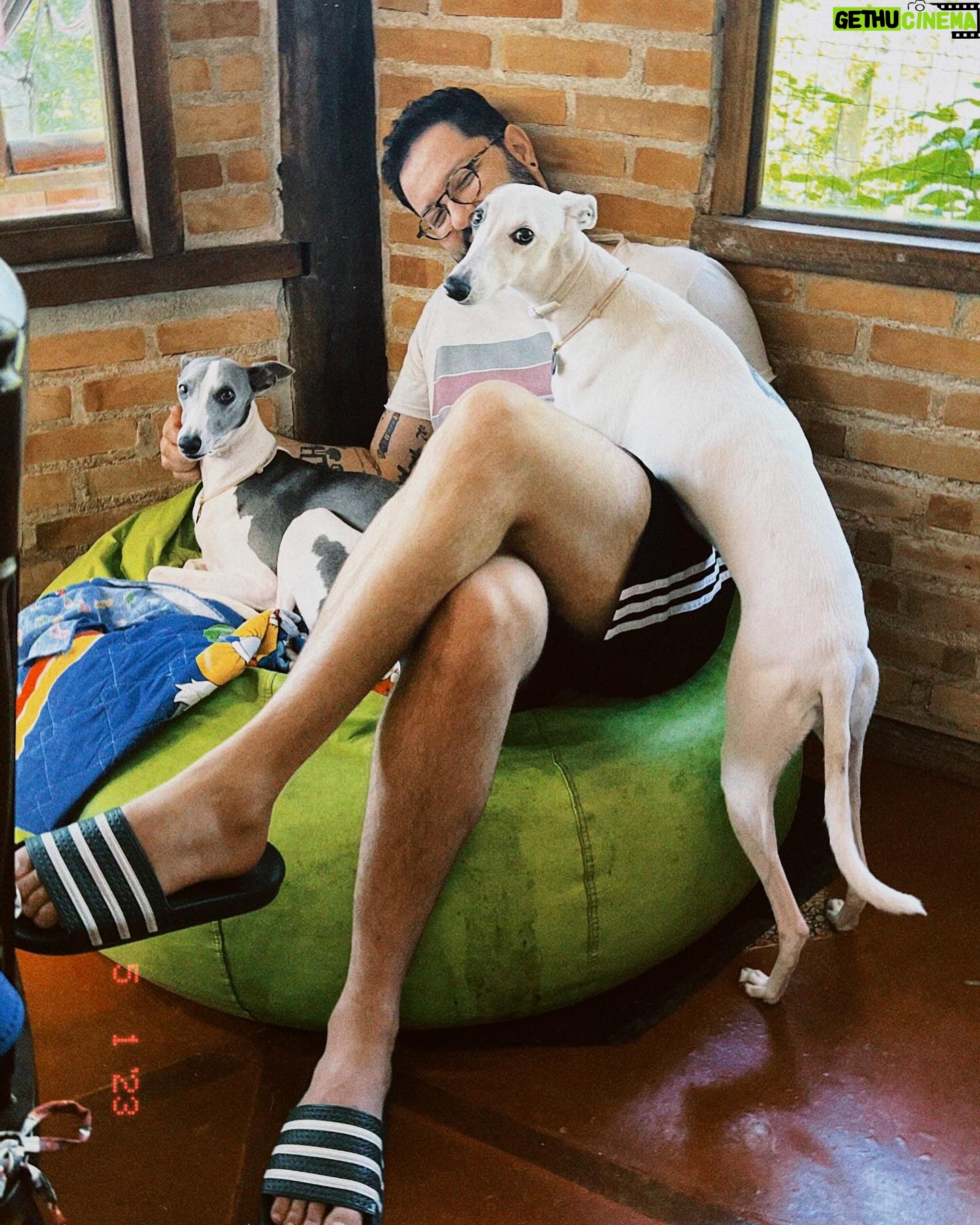 Patrícia dos Reis - 3.8K Likes - Hoje é aniversário do cara mais legal do mundo vulgo moreno @uptothales 🎂🎈🎉
Parabéns amor! Que seja um novo ciclo repleto de coisas boas pois você é um cara f*da e merece tudo de melhor sempre!!! 🥰😍
Obrigada por compartilhar sua vida comigo, te amo ❤️