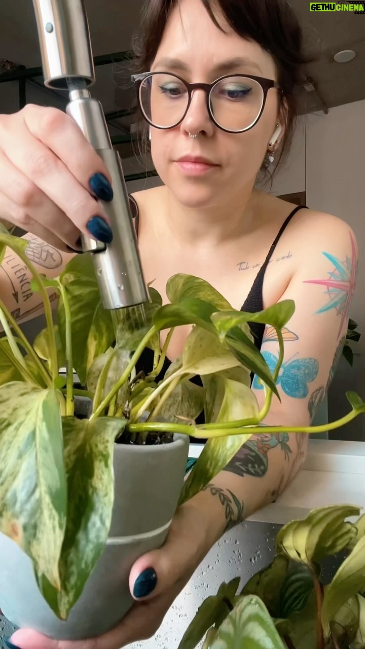 Patrícia dos Reis - 2.2K Likes - Eu virei a tia da plantas e tô adorando 🪴🌵
Tem dicas de plantinhas?
Me manda nos comentários pq eu quero aprender mais sobre e ainda sou iniciante no assunto 😁
E levanta a mão quem tbm é mãe/pai/tia/tio/tie de planta ai 🙌