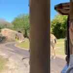 Patrícia dos Reis Instagram – Hakuna Matata! 😁