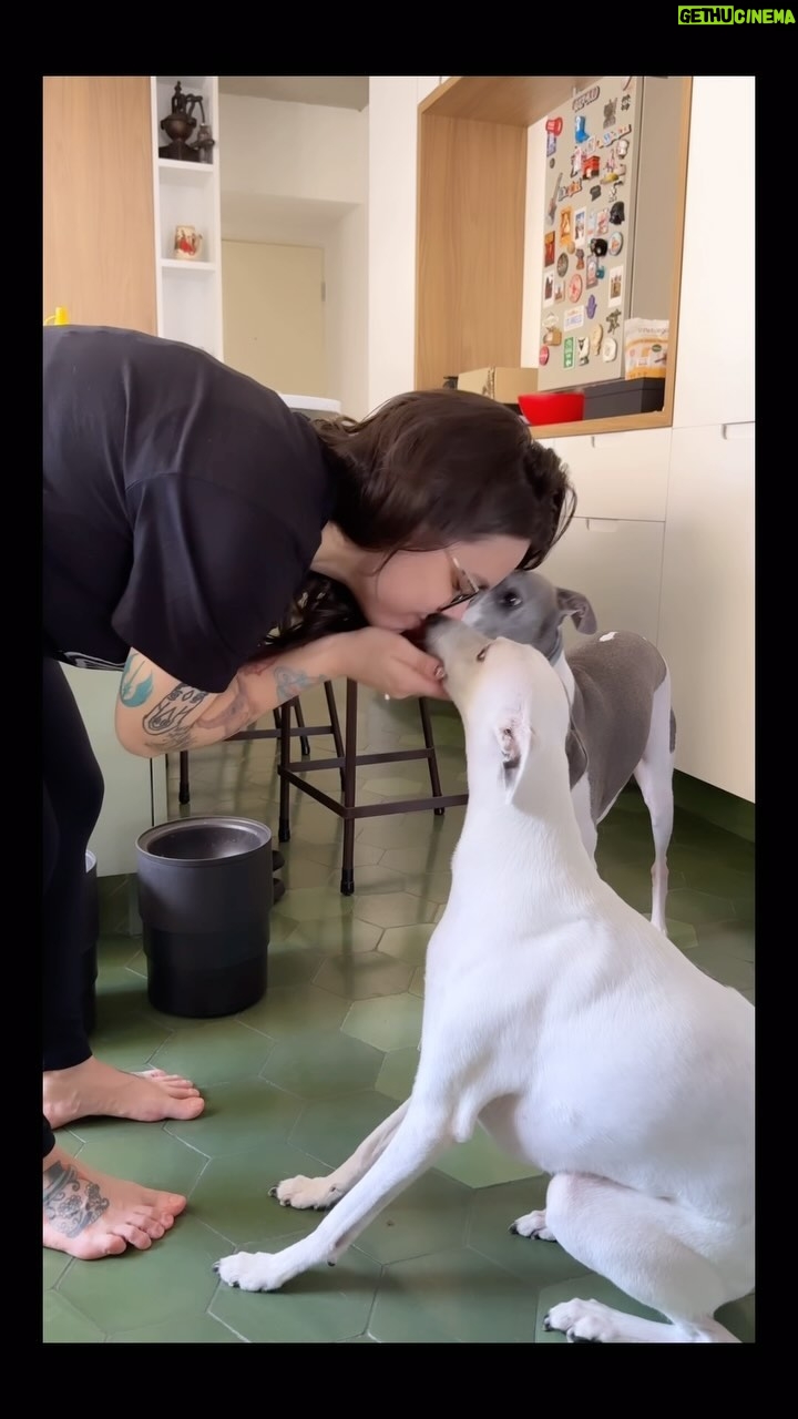 Patrícia dos Reis - 2.5K Likes - 🥞 ☕️ 🐶🐶= ❤️