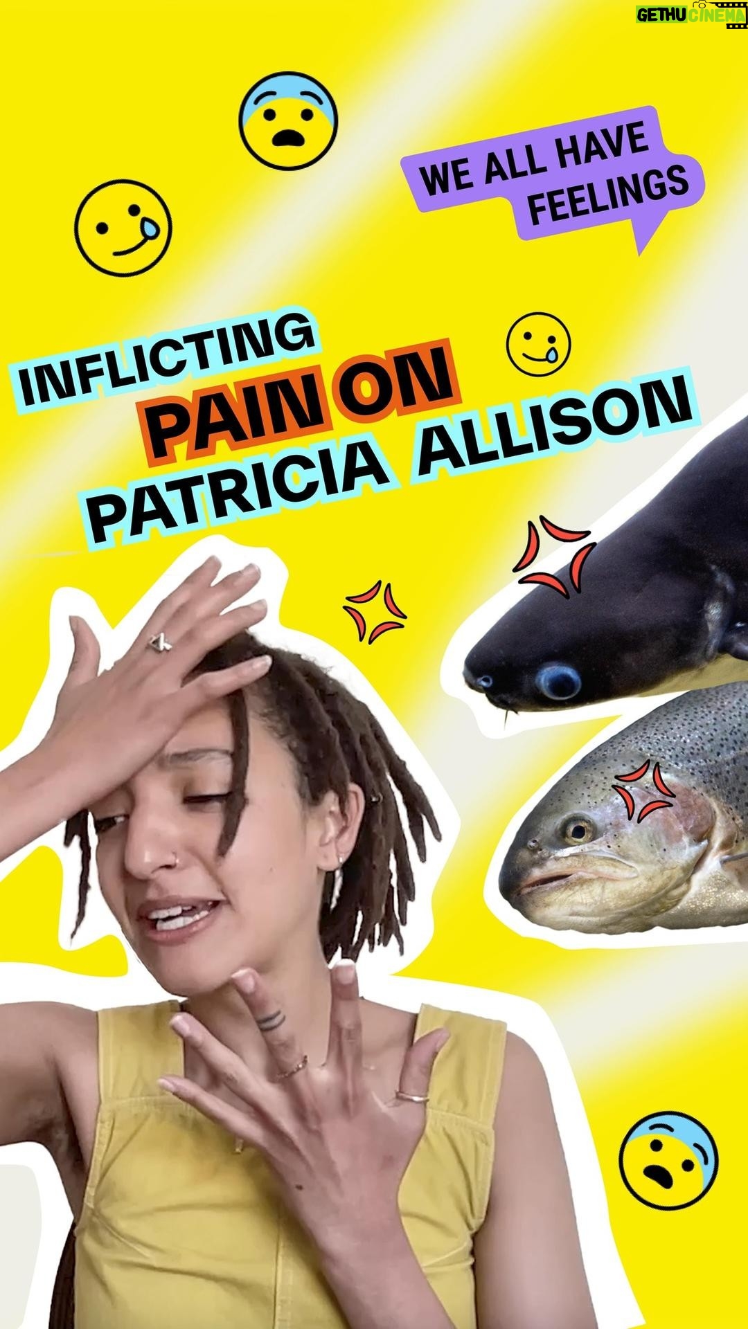 Patricia Allison Instagram - Are you a flapper, flopper, or a flincher? Somehow, these little fishies think we’re immune to suffering… 🤕 Will @trishallison rise to the bait? 🎣 #AnimalsInTherapy #ReconnectWithNature #OceanLife #OceanWildlife #SunFish #AngelFish #MarineWildlife