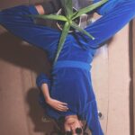 Patricia Allison Instagram – Blue decadence : 🌱 t h a n k u for my velour trackies @suziekondi ❄️ they’re rlly comfy & awesome 🦦