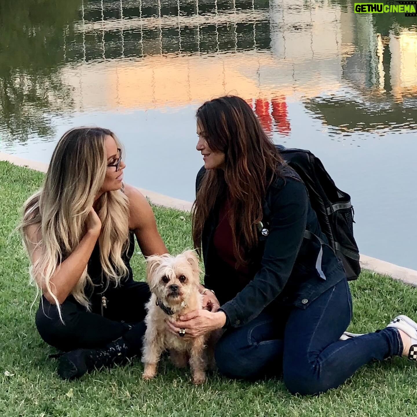 Patricia Stratigeas Instagram - We’re gonna miss our little road buddy. @_thekenz_ was a part of our travels for literally decades. What a life @machetegirl gave her. She was the best mommy anyone coulda asked for. Rest easy Kenzie ♥️ 🐾