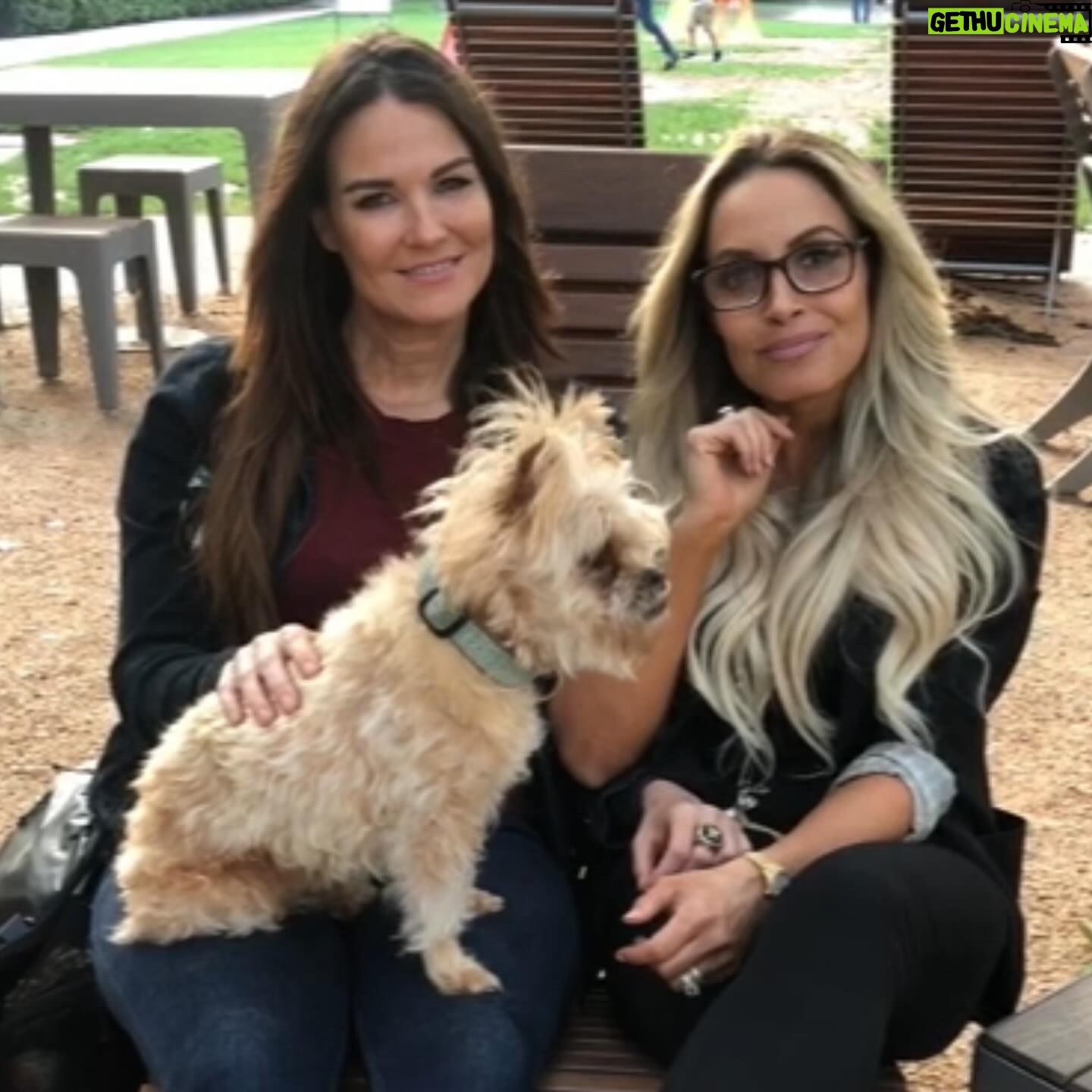 Patricia Stratigeas Instagram - We’re gonna miss our little road buddy. @_thekenz_ was a part of our travels for literally decades. What a life @machetegirl gave her. She was the best mommy anyone coulda asked for. Rest easy Kenzie ♥️ 🐾