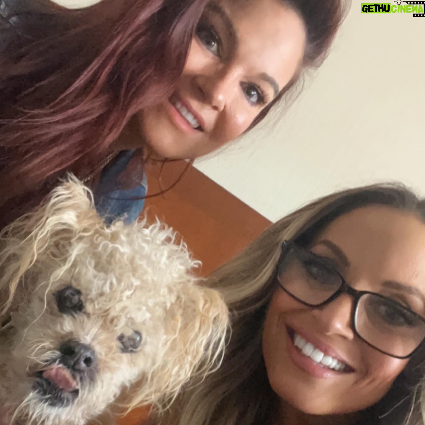 Patricia Stratigeas Instagram - We’re gonna miss our little road buddy. @_thekenz_ was a part of our travels for literally decades. What a life @machetegirl gave her. She was the best mommy anyone coulda asked for. Rest easy Kenzie ♥️ 🐾