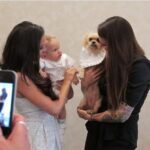 Patricia Stratigeas Instagram - We’re gonna miss our little road buddy. @_thekenz_ was a part of our travels for literally decades. What a life @machetegirl gave her. She was the best mommy anyone coulda asked for. Rest easy Kenzie ♥️ 🐾