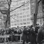 Paul McCartney Instagram - "Our welcoming American fans at Central Park. They were as loud and crazy as our British fans, but with different accents" - Paul 60 years after The Beatles' first landed in America, 'Paul McCartney Photographs 1963-64: Eyes of the Storm' is coming to Brooklyn, New York! 📷 The exhibition will be open at @brooklynmuseum from May 5 - August 18 2024. Find out more and plan your visit via @brooklynmuseum or via the link in bio. #EyesOfTheStorm