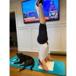 Paul McCartney Instagram - "The headstand is my show-off moment when I'm in the gym... I was once told by a yoga teacher that it keeps you young" - Paul Inspired by the #GrandudesGreenSubmarine episode of @cosmickidsyoga, Paul gives us an insight into his yoga practice. Read it on PaulMcCartney.com or via the link in bio. 📷 Taken from the #McCartneyIII album artwork