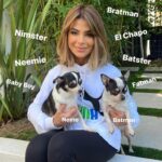 Paula Abdul Instagram - Happy #NationalPetDay! 🐶❤️🐾 What funny nicknames do you have for your pets? I want to hear them in the comments 😂 XoP