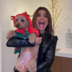 Paula Abdul Instagram - POV: It’s December 1st 🎄🎅🏼🎁 🐶