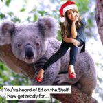 Paula Abdul Instagram - You’ve heard of Elf on the Shelf, now get ready for… Paula on the Koala 😂 I hope everyone is having a wonderful day relaxing, laughing and celebrating with their loved ones. Sending you lots of holiday cheer and love! Merry Christmas and happy “Pauladays”♥️🥰 XoP Graphic by: @yougiveloveyougetlove