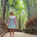 Paula Stephânia Instagram - 🇯🇵Já tem quase 1 mês que estamos no Japão e me sinto tão conectada com esse lugar! Tento tanto pra contar pra vcs! Mas tô aproveitando tanto que sobra pouco tempo pra postar. Assim que voltar se preparem pra uma chuva de conteúdos sobre um dos lugares mais legais do mundo!!! Enquanto isso, olha só por onde temos andado: 📍1 e 2- Fushimi Inari Taisha-Kyoto 📍3 e 4- Nara Park 📍5- Floresta de bambu Arashiyama -Kyoto 📍6- Estação Arashiyama - Kyoto 📍7- Rio Kamo Kyoto 📍8- Matcha chá